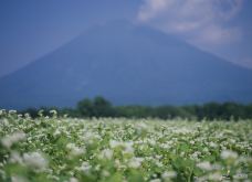 羊蹄山-京极町-尊敬的会员