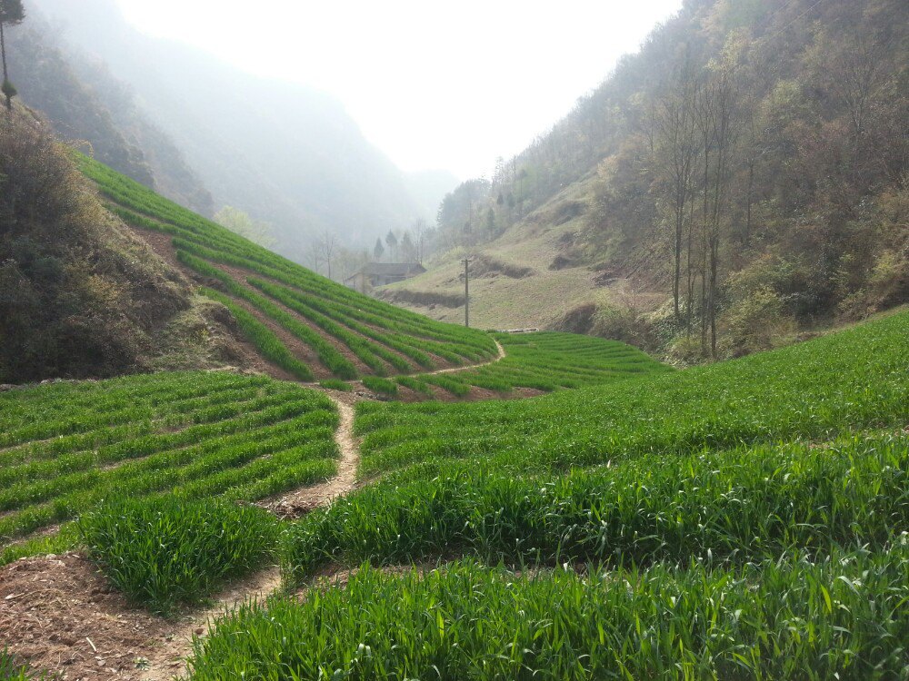 黄龙观村