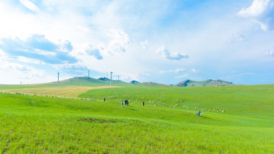 Huhenuo'er Grassland Tourist Attraction
