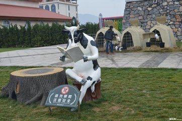 쥔러바오 유즈목장