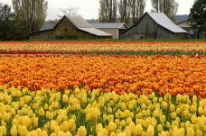 斯卡吉山谷-斯卡吉特县-Hello_Yuanzi