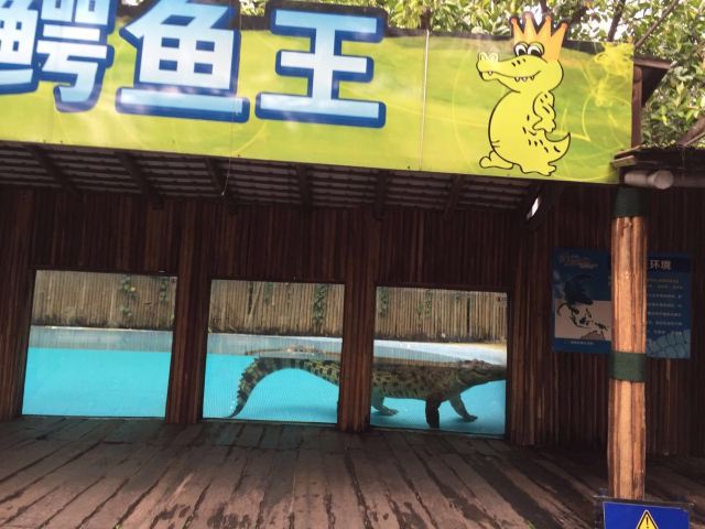 Chimelong Bird Park