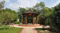 茂名森林公园-茂名-YoYo_9J2N7E5I