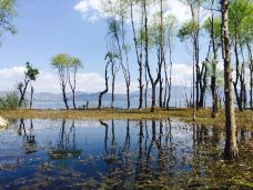 桃源村-大理市-YoYo_7O7V2U7Z