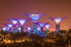 新加坡植物园-新加坡-doris圈圈