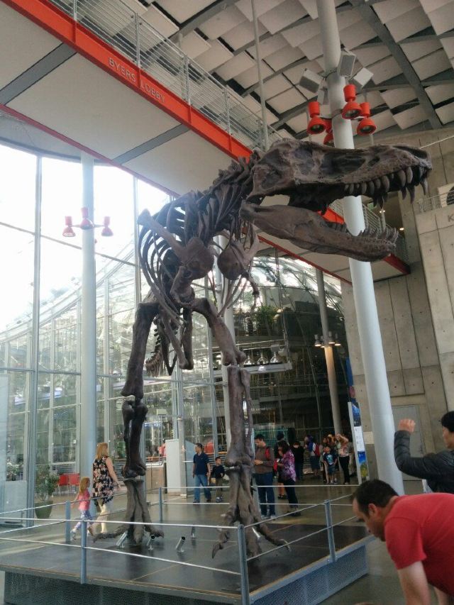 California Academy of Sciences