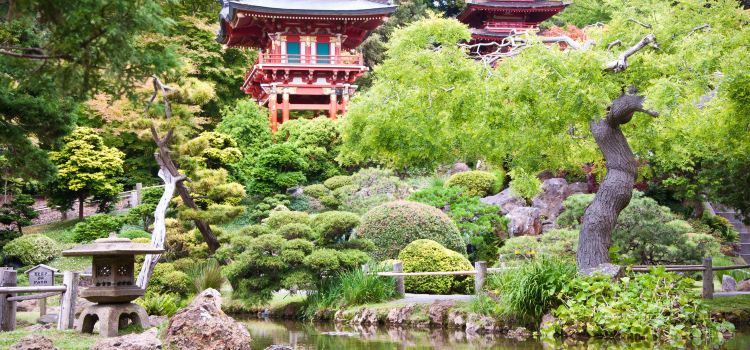 Golden Gate Park Travel Guidebook Must Visit Attractions In San