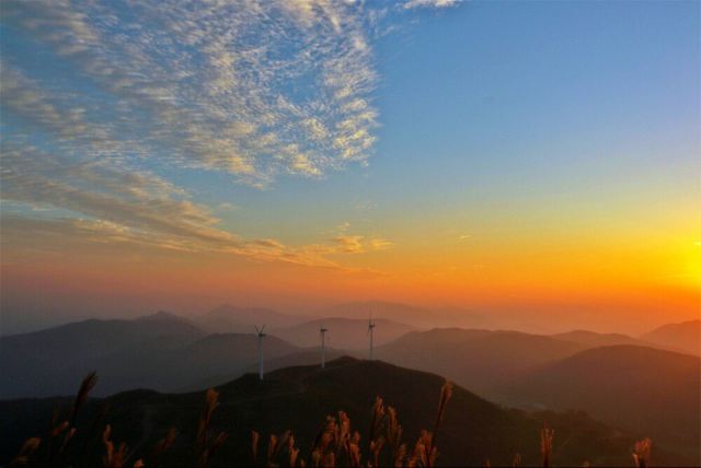 동백산