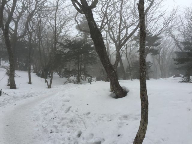 한라산 국립공원