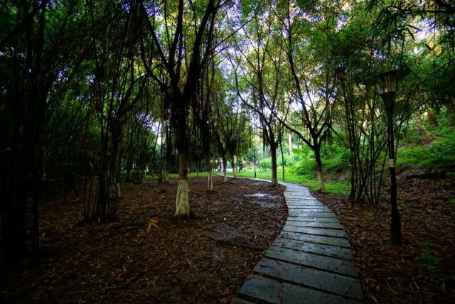 Shunfeng Mountain Park