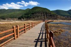 草海-盐源-doris圈圈