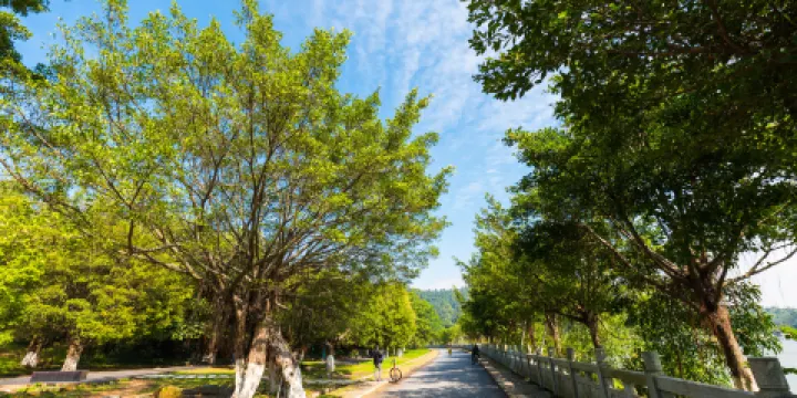 大夫山森林公園