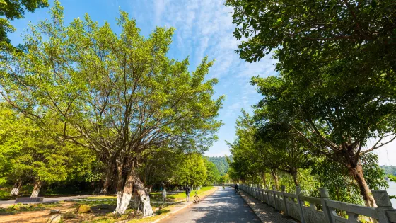 大夫山森林公園