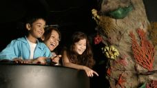 国油科学探索馆-吉隆坡-星小兔