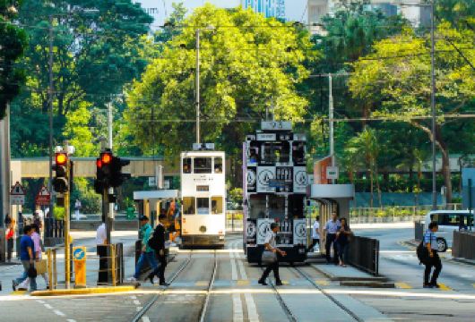 香港尖沙咀+中环一日游【司机兼向导包车游‖打卡全港经典路线】【港式city walk，司兼向导服务+独立成团包车一日游，独立成团，精致小团。高端定制VIP服务】