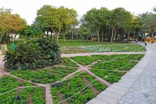 扎比尔公园-迪拜-doris圈圈