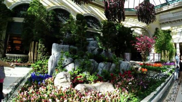 Bellagio Conservatory and Botanical Gardens