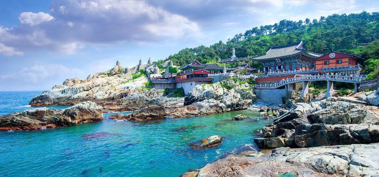 Haeundae Beach Tickets Deals Reviews Family Holidays