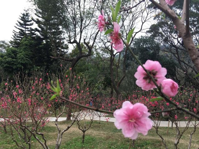 Baiyun Mountain