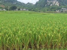 盘阳河景区-巴马-品味人生