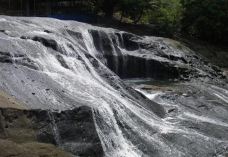 佛佛瀑布-关岛-一只卡林