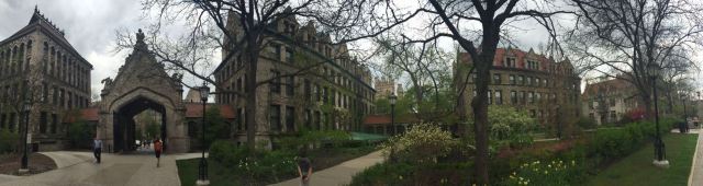 The University of Chicago