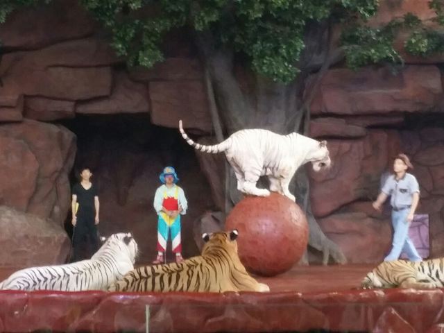 Chuanlord Tourism & Leisure Expo Garden