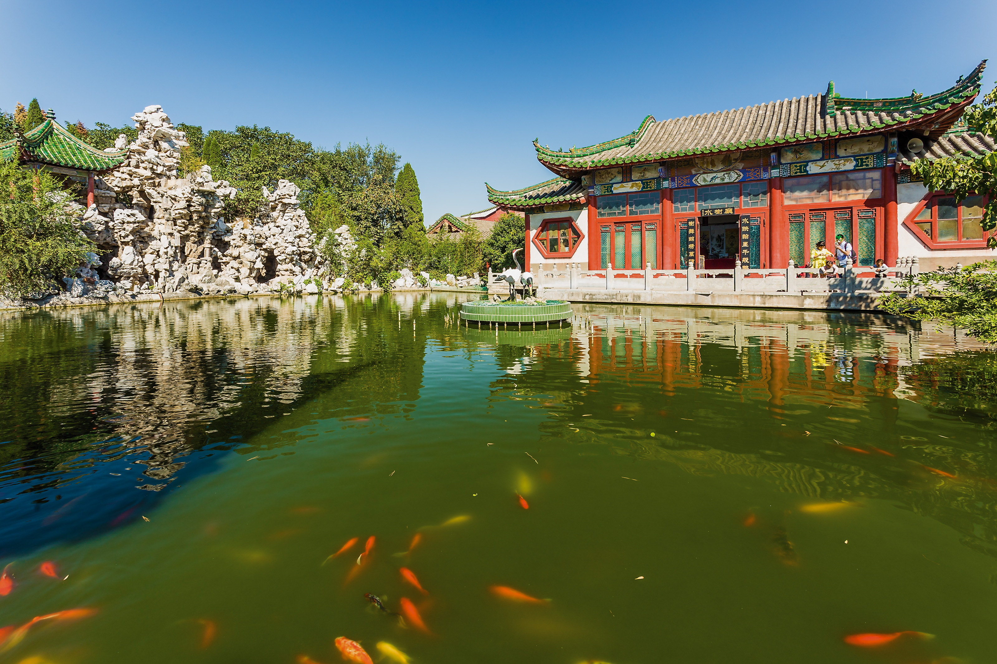 天波杨府赏菊花