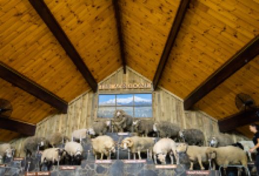 爱歌顿农场景点图片