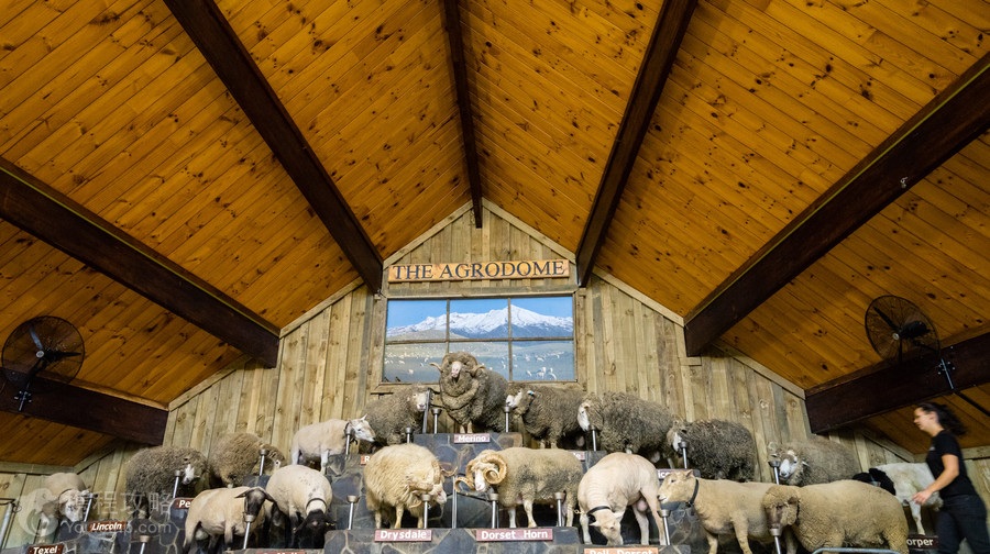 Agrodome