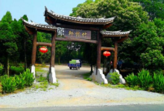 竹林轩农家乐美食图片