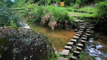 Dahongpao Scenic Spot