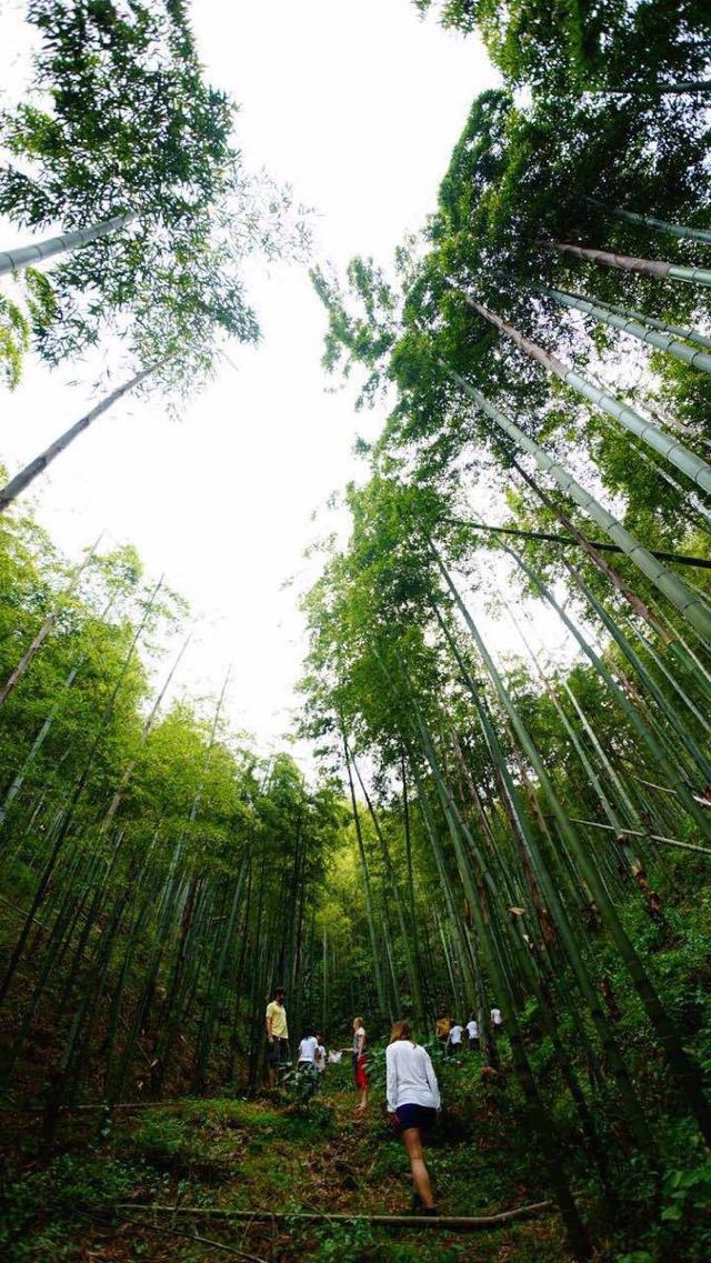 莫干山景區