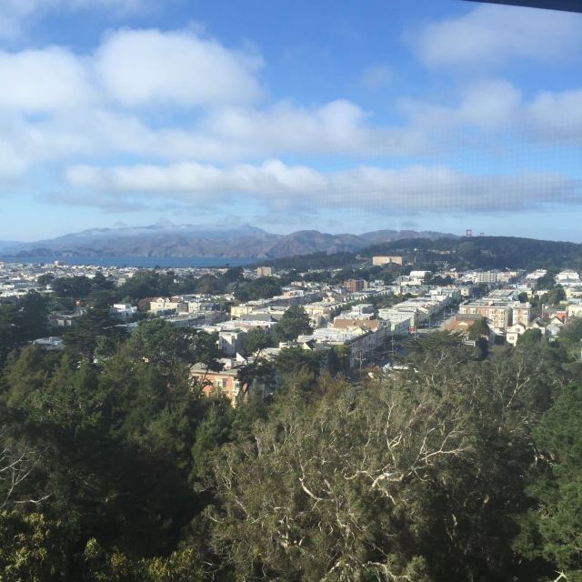 de Young Museum