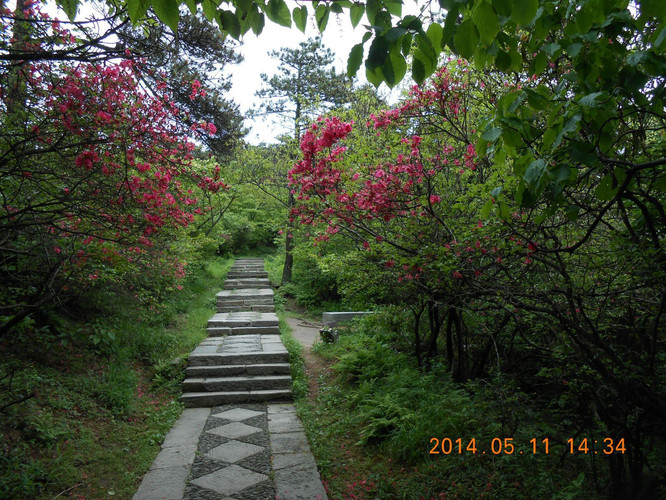 一山飞峙大江边-登庐山