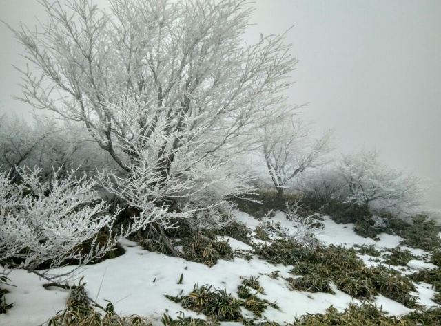 한라산 국립공원