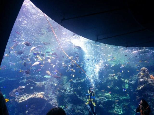 California Academy of Sciences