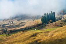 库尔德宁景区-巩留-doris圈圈