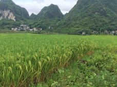 盘阳河景区-巴马-品味人生