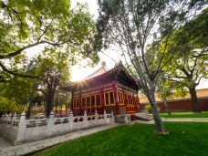 御花园-北京-doris圈圈