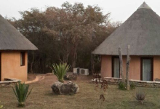 Kimbo do Soba美食图片