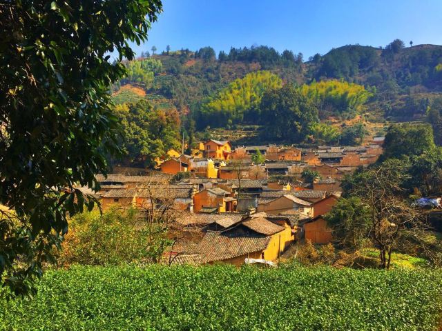 楊家堂村