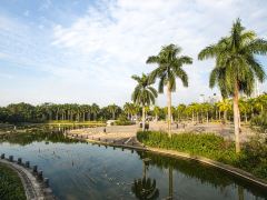 品味螺蛳粉，南宁市内休闲1日游