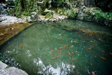 灵隐飞来峰景区-杭州-doris圈圈