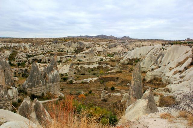 Pigeon Valley