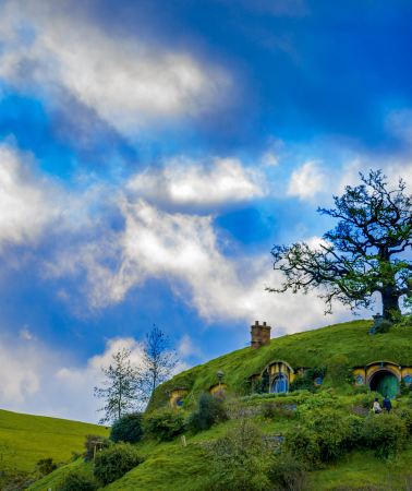 9D8N • New Zealand North Island Hobbiton - Glowworm Caves - South Island Whale Watching - Stargazing - Gondola - Farm