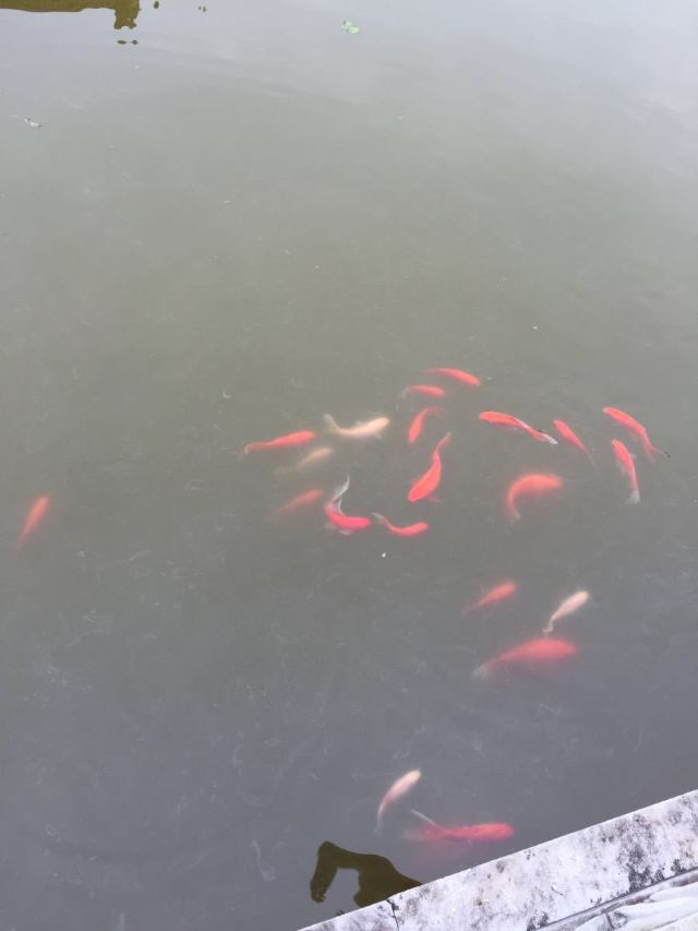 천하옥원