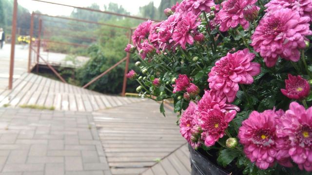Old Summer Palace