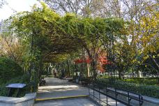 复兴公园-上海-doris圈圈