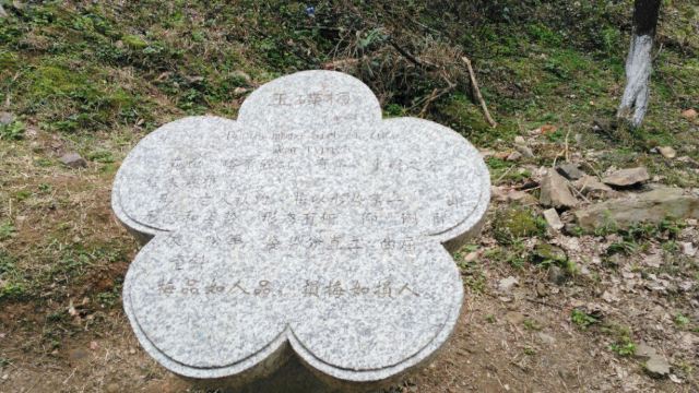 메이관(매관) 고도